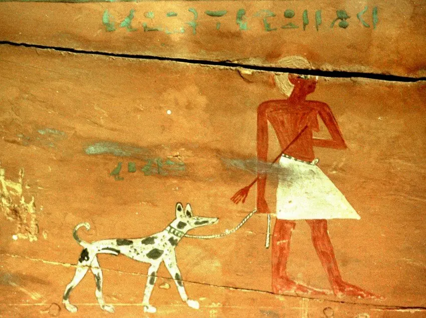Tesem dog ancient painting