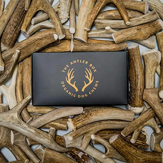 the antler box deer antlers for dogs