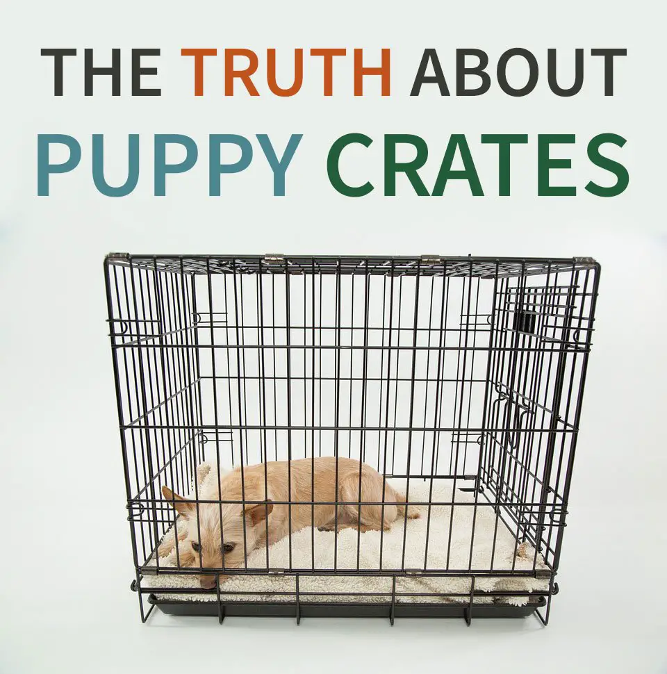are puppy crates cruel?