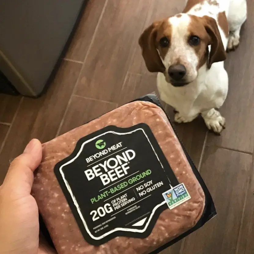 Can dogs eat Beyond Meat?